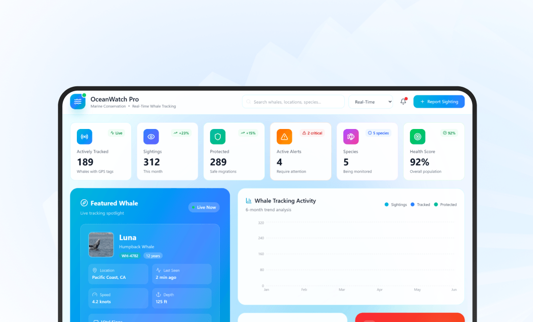 Marine Conservation Tech for Real-Time Whale Tracking